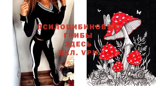 МДПВ Абдулино
