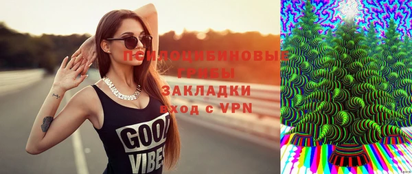 PSILOCYBIN Алзамай