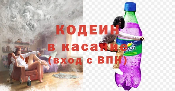 PSILOCYBIN Алзамай