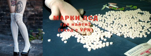 PSILOCYBIN Алзамай
