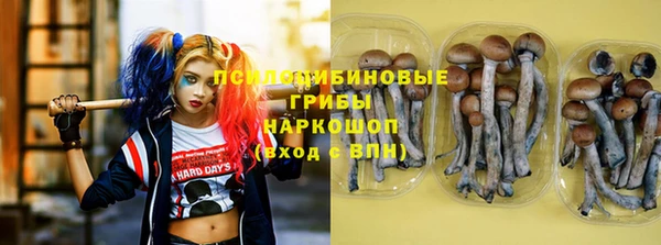 PSILOCYBIN Алзамай