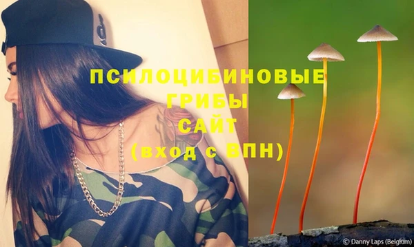 круглые Алексеевка